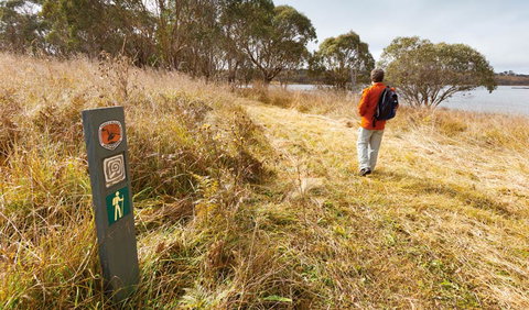 Lagoon Circuit Walking Track - Yamba Accommodation 2