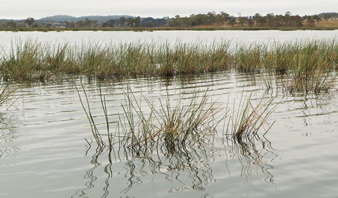 Lagoon Circuit Walking Track - Yamba Accommodation 3