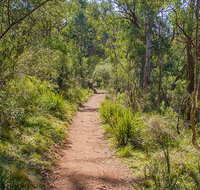 Mares Forest Creek walking track - Yamba Accommodation