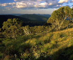 Namadgi National Park And Visitors Centre - Yamba Accommodation 2