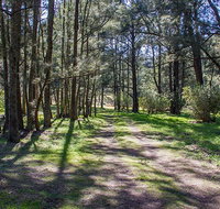 Wombeyan Waterfall walking track - Yamba Accommodation