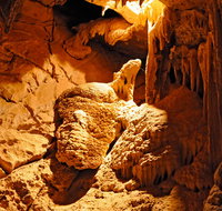 Fig Tree Cave - Yamba Accommodation