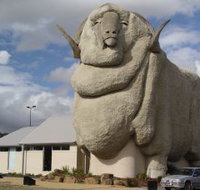 Big Merino - Yamba Accommodation