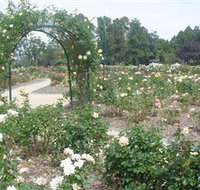 Victoria Park Rose Garden - Yamba Accommodation