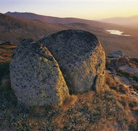 Main Range Track - Yamba Accommodation