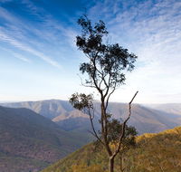 Salisbury Waters walking track - Yamba Accommodation