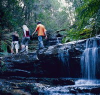 South Lawson Waterfall Circuit - Yamba Accommodation
