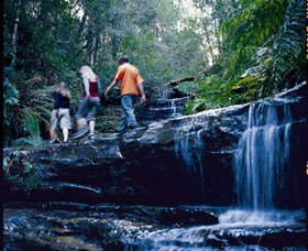 South Lawson Waterfall Circuit - Yamba Accommodation 0