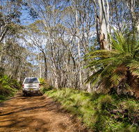 Barrington trail - Yamba Accommodation