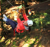 Trees Adventure Grose River Park - Yamba Accommodation