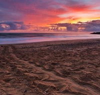 Mon Repos Beach - Yamba Accommodation