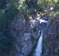 Lyrebird Falls walking track - Yamba Accommodation