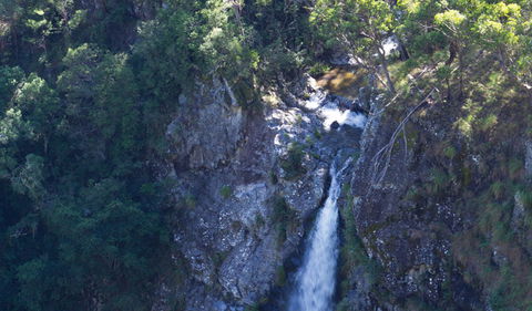 Lyrebird Falls Walking Track - Yamba Accommodation 0
