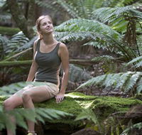 Barrington Tops National Park - Honeysuckle Forest Track - Yamba Accommodation
