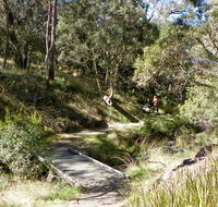Wollomombi walking track - Yamba Accommodation