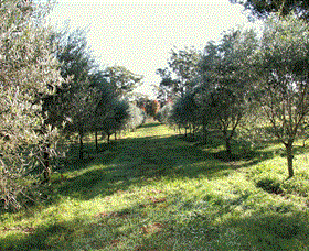 Langdale Farm - Yamba Accommodation