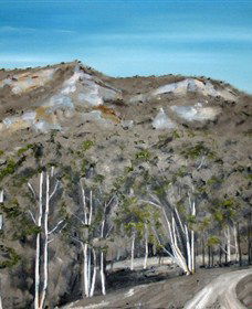 Greg Wilson Gallery - Yamba Accommodation 2
