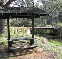 Barrington Tops State Forest - Yamba Accommodation