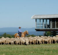 Tobruk Sydney - Yamba Accommodation