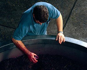 Calais Estate Wines - Yamba Accommodation 2