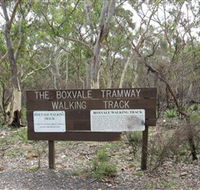 Box Vale Picnic Area - Yamba Accommodation