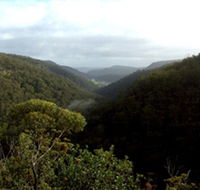 Nattai Gorge Lookout - Yamba Accommodation