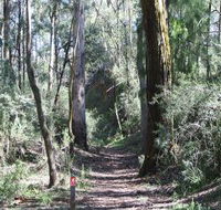 Box Vale Mine Walking Track and Lookout - Yamba Accommodation