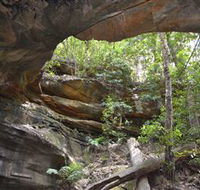 Cave Creek Walking Track - Yamba Accommodation