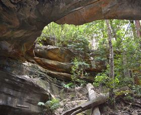 Cave Creek Walking Track - Yamba Accommodation 0