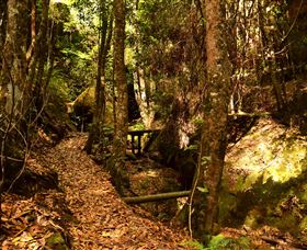 Cave Creek Walking Track - Yamba Accommodation 2