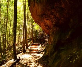 Cave Creek Walking Track - Yamba Accommodation 1