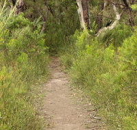 Three Views walking track - Yamba Accommodation