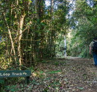 Basin Loop track - Yamba Accommodation