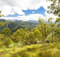 Toonumbar National Park - Yamba Accommodation