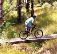 The Steps Mountain Bike Park - Yamba Accommodation