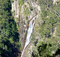 Carrai National Park - Yamba Accommodation