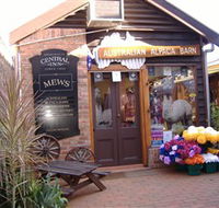 Australian Alpaca Barn - Morpeth - Yamba Accommodation