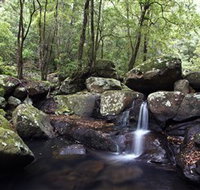 Kangaroo River - Yamba Accommodation