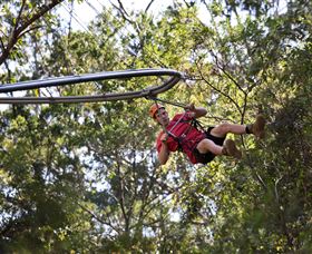 TreeTops Crazy Rider - Yamba Accommodation 1