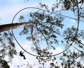 TreeTops Crazy Rider - Yamba Accommodation 0