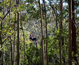 TreeTops Crazy Rider - Yamba Accommodation 3