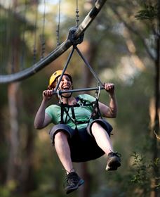 TreeTops Crazy Rider - Yamba Accommodation 2