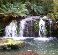 Barrington Tops National Park Walks - Yamba Accommodation