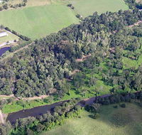 Moore Park Nature Reserve - Yamba Accommodation