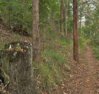 Border loop walk - Yamba Accommodation