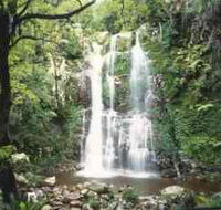 Budderoo National Park - The Falls Walk - Yamba Accommodation