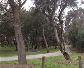 Tuggerah Lakes Cycleway - Yamba Accommodation 2