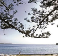 Terrigal Beach - Yamba Accommodation