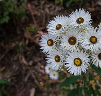 Hastings Forest Way touring route - Yamba Accommodation