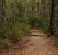 Pigeon House Mountain Didthul walking track - Yamba Accommodation
